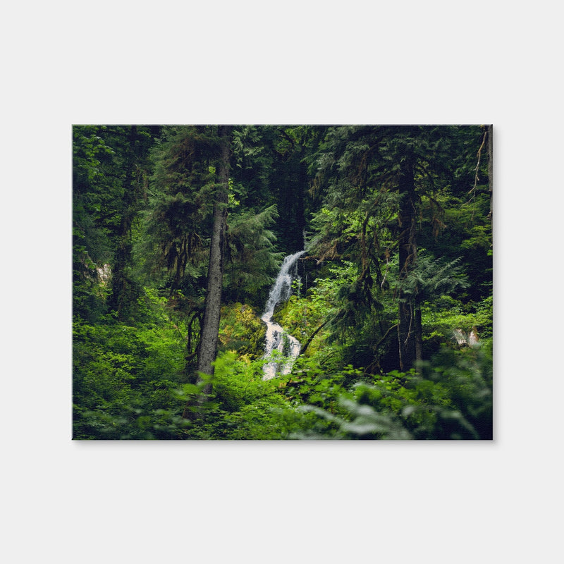 AUTO-MOCKUP WHITE | Rainforest Waterfall | 1 Piece | Gallery Wrap Canvas | group=4x3