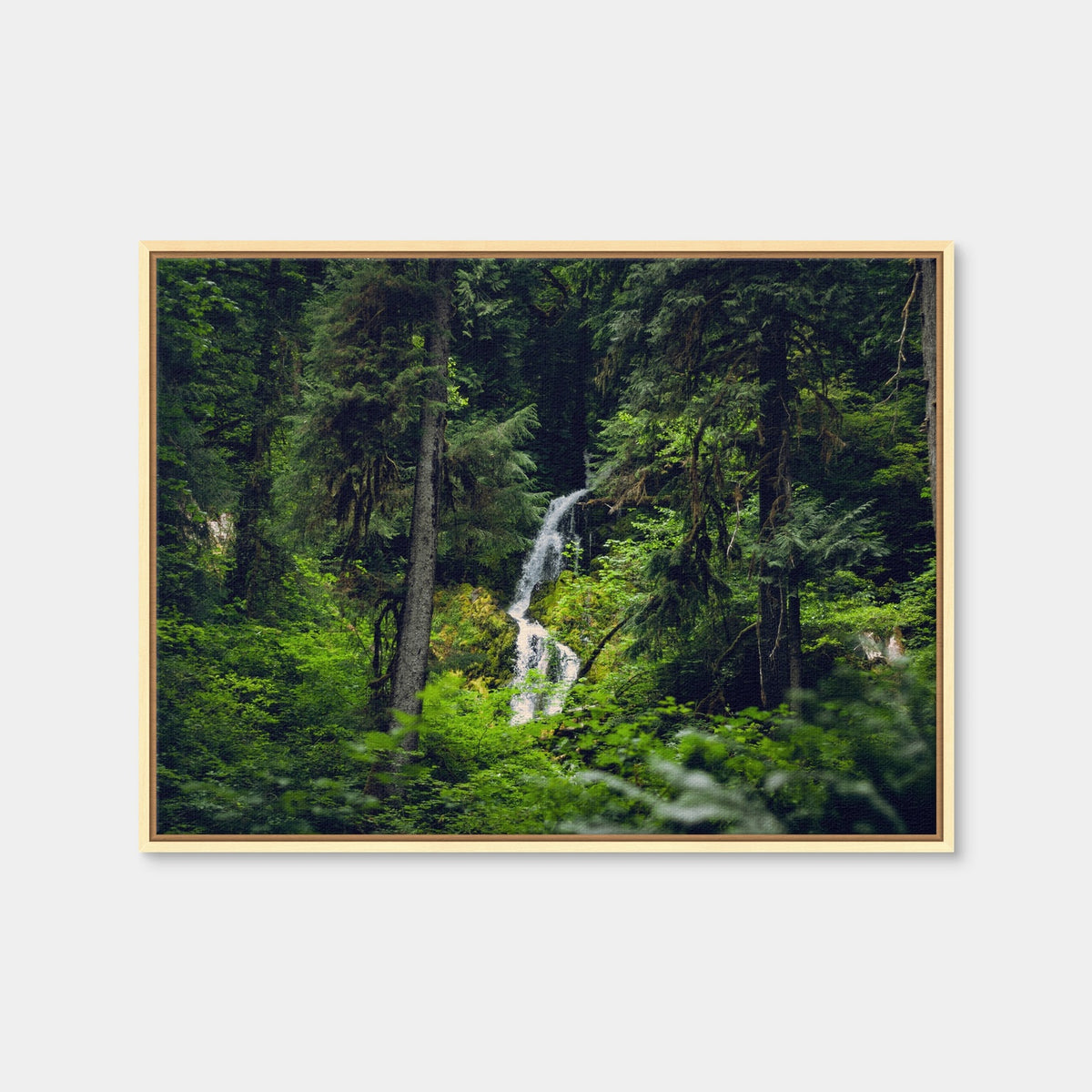 AUTO-MOCKUP WHITE | Rainforest Waterfall | 1 Piece | Natural Framed Canvas | group=4x3