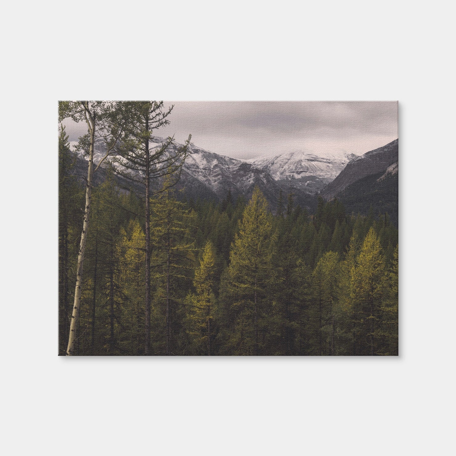 AUTO-MOCKUP WHITE | Range Road | 1 Piece | Gallery Wrap | group=4x3