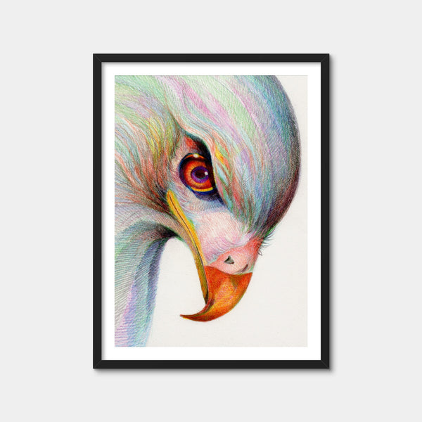 Raptor's Watchful Eye Wall Art — Framed Print Format preview