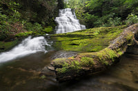 Rattlesnake Falls Wall Art