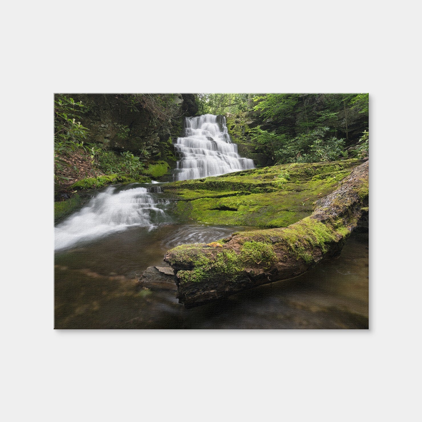 AUTO-MOCKUP WHITE | Rattlesnake Falls | 1 Piece | Gallery Wrap | group=4x3