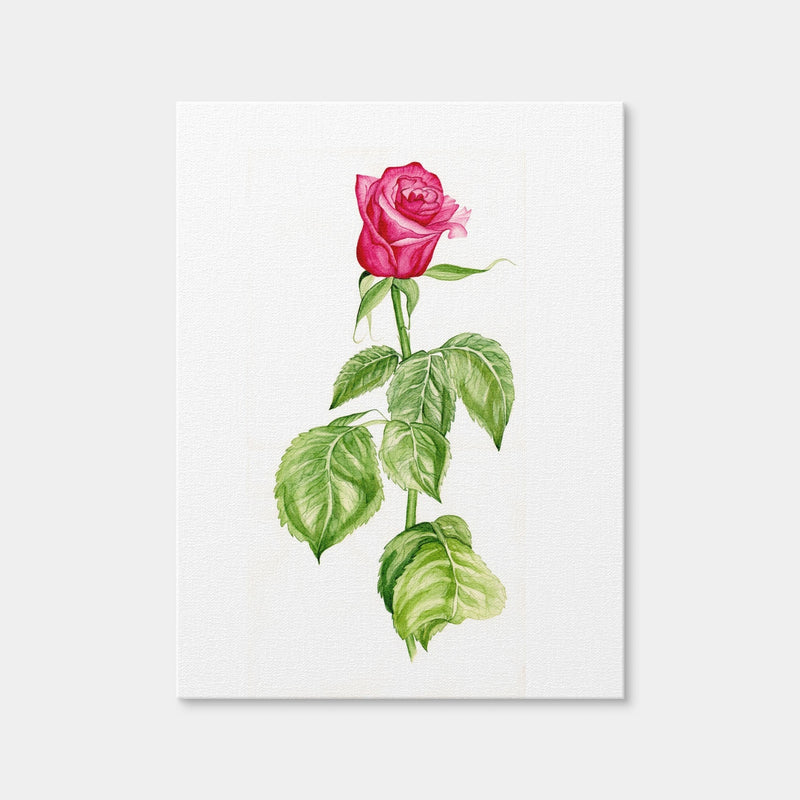 AUTO-MOCKUP WHITE | Red Rose | 1 Piece | Gallery Wrap Canvas | group=3x4
