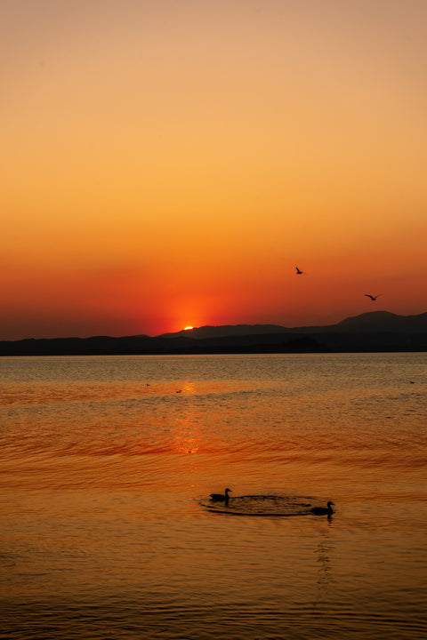Red Sunset Wall Art