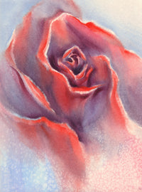 Red velvet rose Wall Art