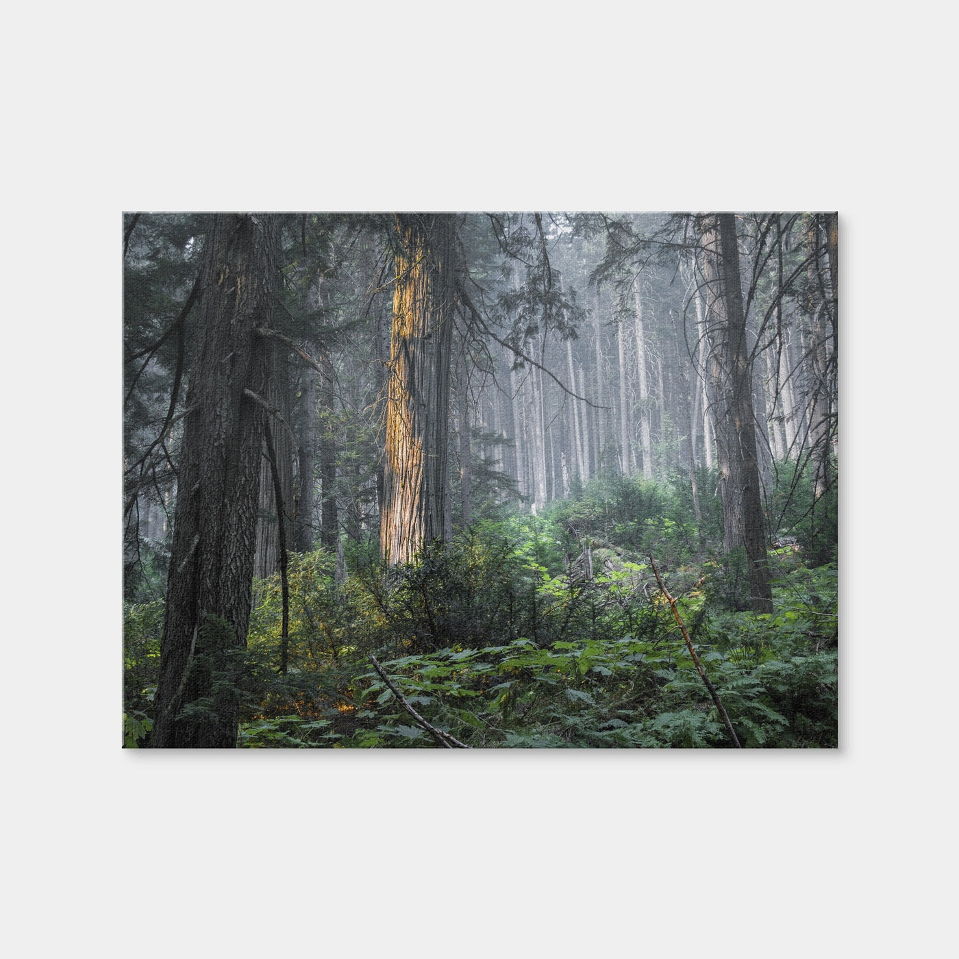 AUTO-MOCKUP WHITE | Revelstoke | 1 Piece | Gallery Wrap Canvas | group=4x3