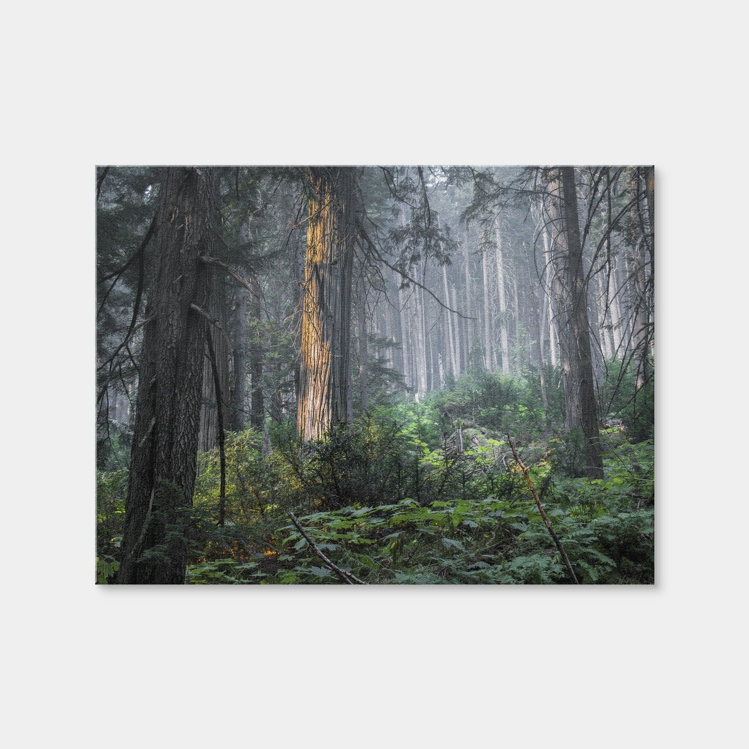 AUTO-MOCKUP WHITE | Revelstoke | 1 Piece | Gallery Wrap Canvas | group=4x3