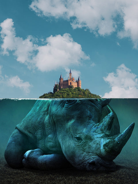Rhino Island Wall Art