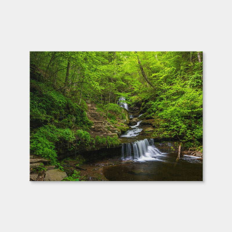 AUTO-MOCKUP WHITE | Ricketts Glen State Park | 1 Piece | Gallery Wrap | group=4x3