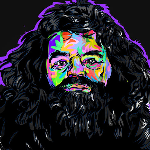 Rip Hagrid Wall Art