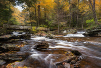 Rivers Meet Wall Art