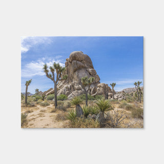 AUTO-MOCKUP WHITE | Roadside Rock Joshua Tree National Park | 1 Piece | Gallery Wrap Canvas | group=4x3