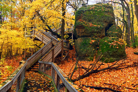 Rock Cut State Park Wall Art