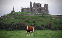 Rock of Cashel, Ireland Wall Art