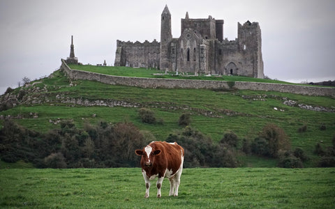 Rock of Cashel, Ireland Wall Art