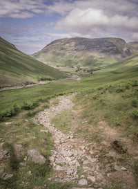 Rocky Path Wall Art