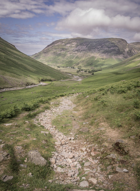 Rocky Path Wall Art