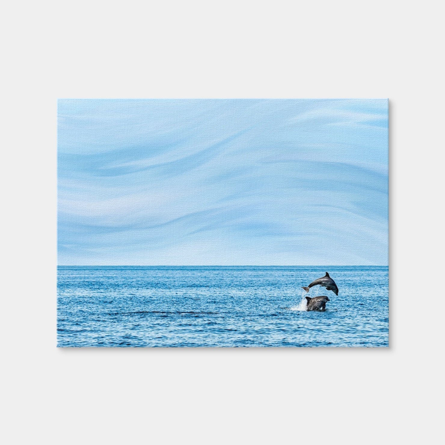 AUTO-MOCKUP WHITE | Rollin Jumping Dolphins | 1 Piece | Gallery Wrap Canvas | group=4x3
