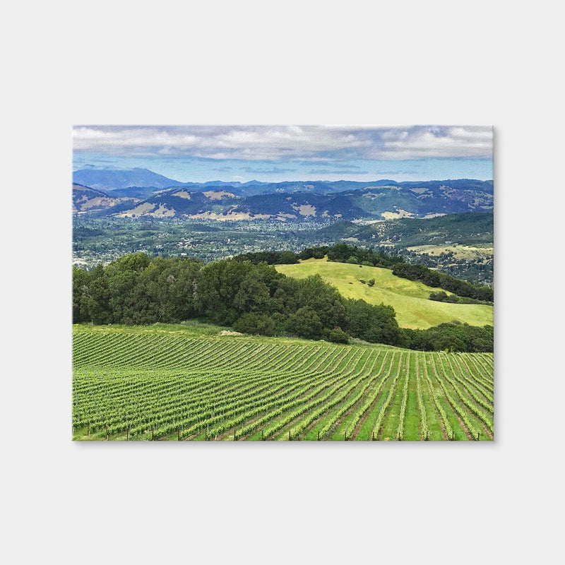 AUTO-MOCKUP WHITE | Rolling Hills and Vineyards of Sonoma County | 1 Piece | Gallery Wrap | group=4x3