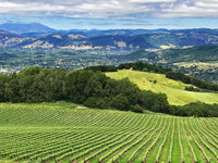Rolling hills and vineyards of Sonoma County Wall Art