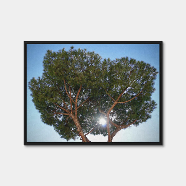 Rome, Italy Wall Art — Framed Canvas Format preview