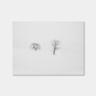 AUTO-MOCKUP WHITE | Rooted in Silence | 1 Piece | Gallery Wrap | group=4x3