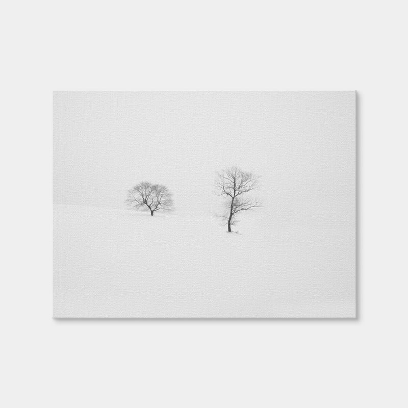 AUTO-MOCKUP WHITE | Rooted in Silence | 1 Piece | Gallery Wrap | group=4x3