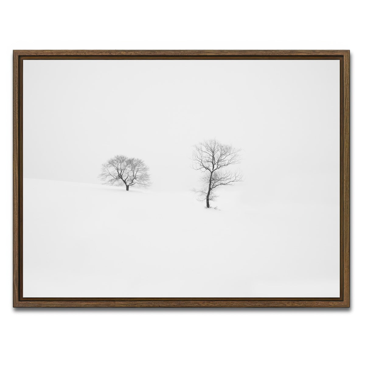 AUTO-MOCKUP WHITE | Rooted in Silence | 1 Piece | Walnut Framed Canvas | group=4x3