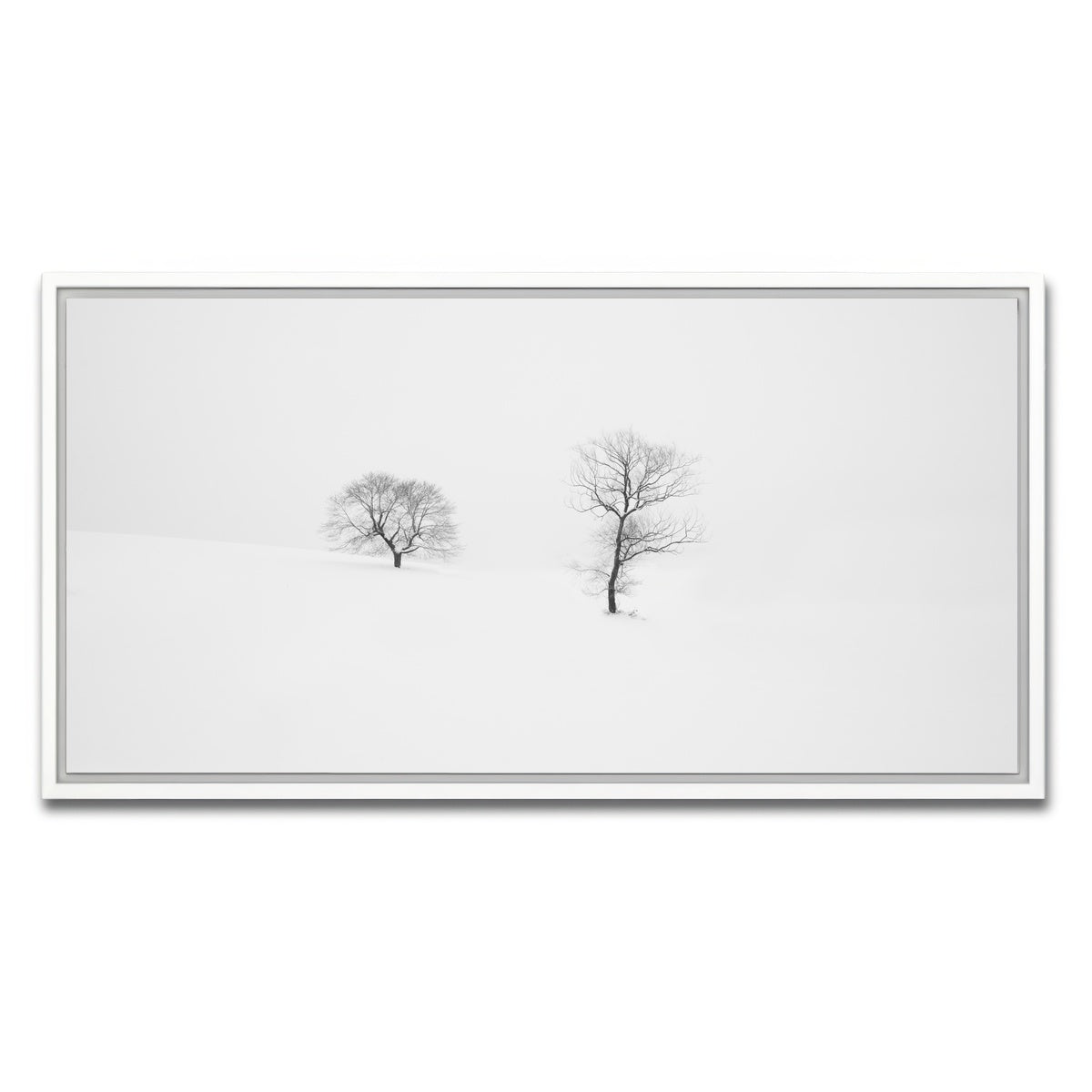 AUTO-MOCKUP WHITE | Rooted in Silence | 1 Piece | White Framed Canvas | group=2x1