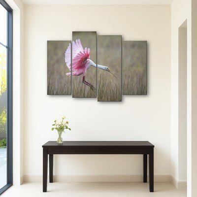 AUTO-MOCKUP ROOM | Roseate Spoonbill - Merritt Island Wildlife Refuge