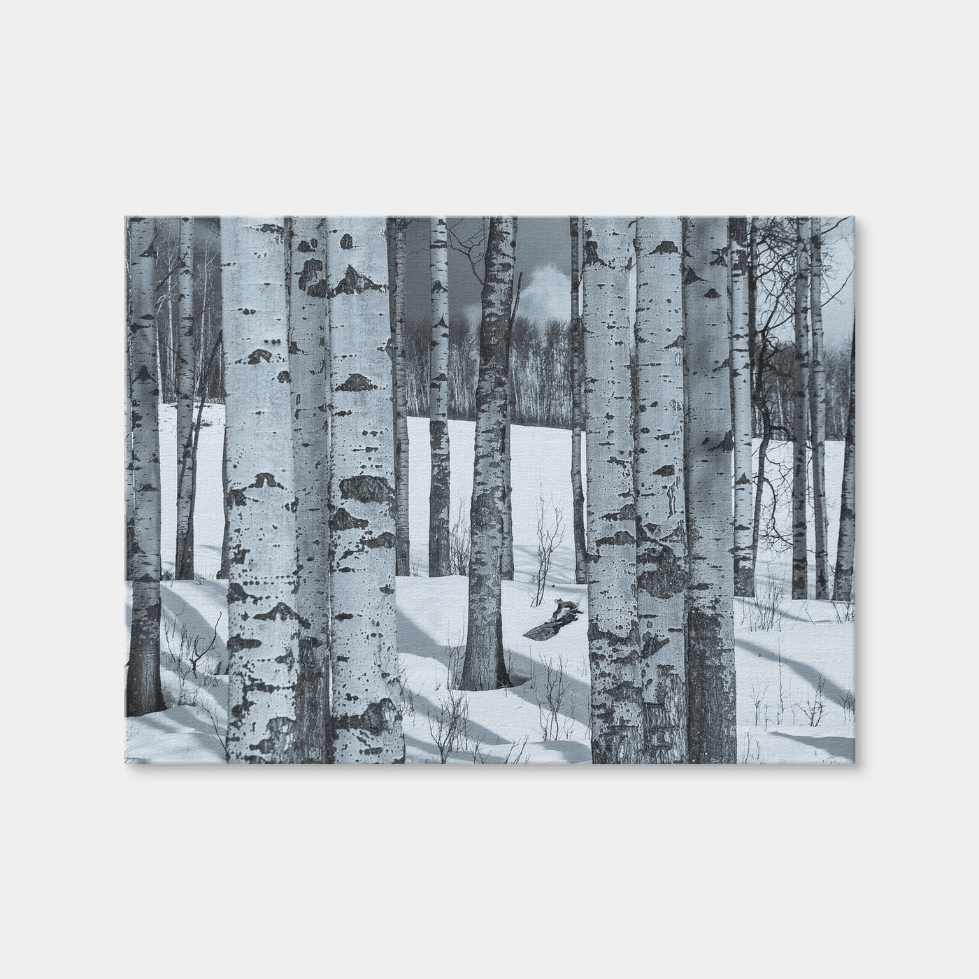 AUTO-MOCKUP WHITE | Round Lake | 1 Piece | Gallery Wrap | group=4x3