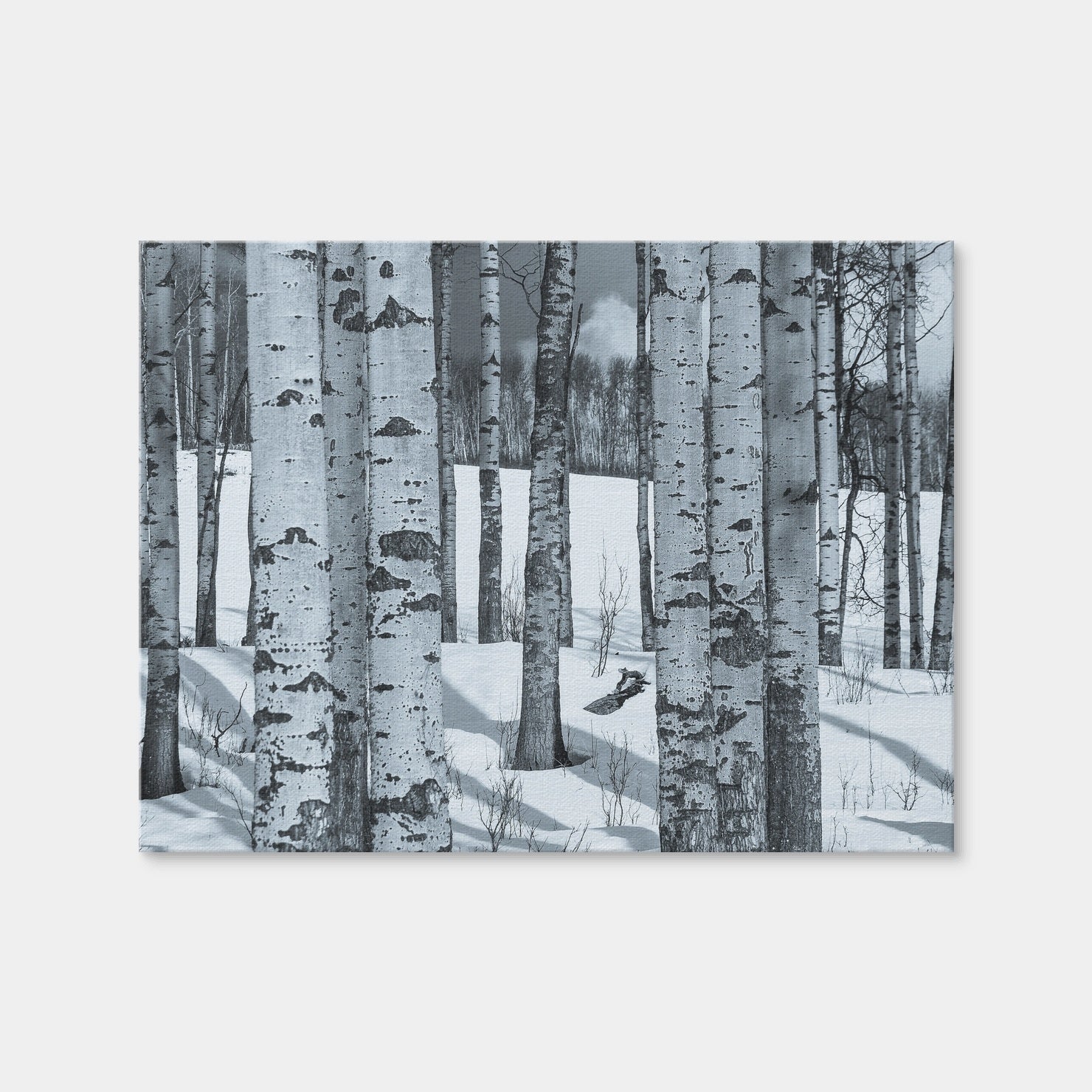 AUTO-MOCKUP WHITE | Round Lake | 1 Piece | Gallery Wrap | group=4x3
