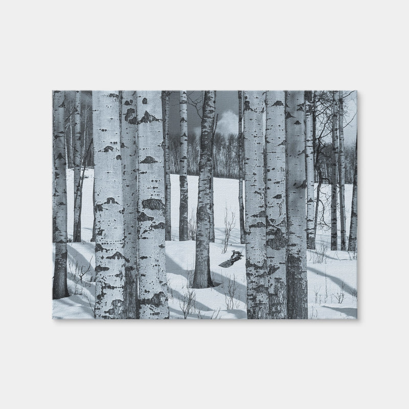 AUTO-MOCKUP WHITE | Round Lake | 1 Piece | Gallery Wrap | group=4x3
