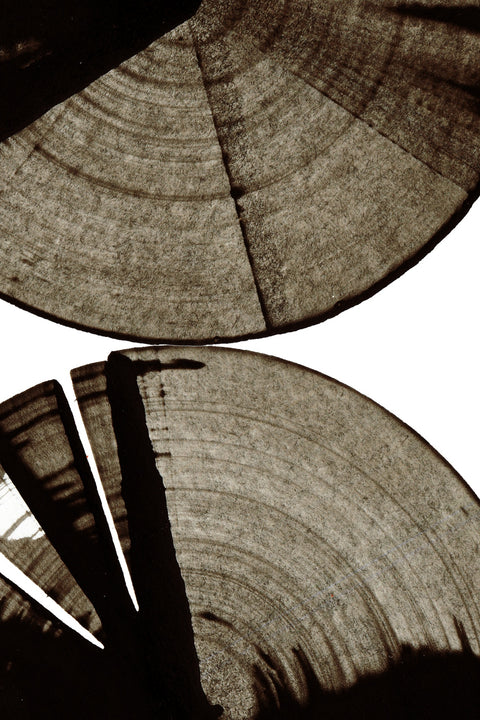 Rounds Wall Art