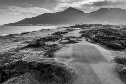 Royal County Down Grayscale Wall Art
