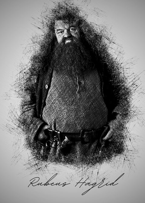 Rubeus Hagrid Wall Art