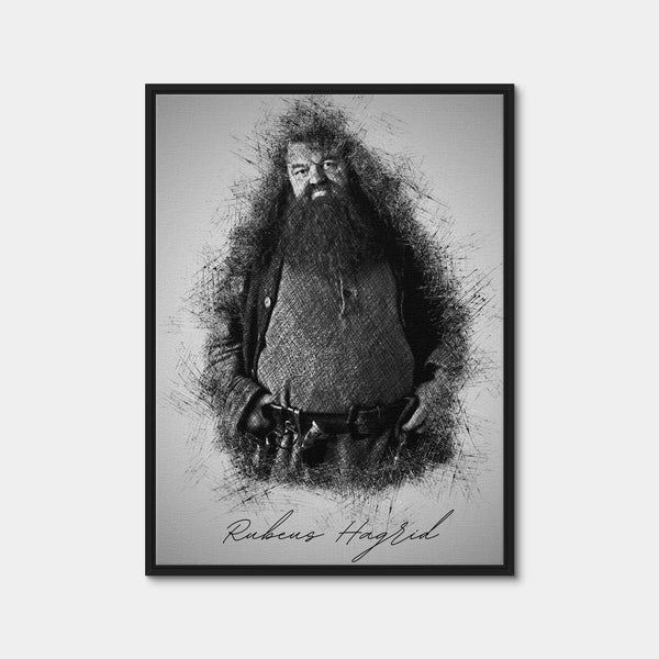 Rubeus Hagrid Wall Art — Framed Canvas Format preview