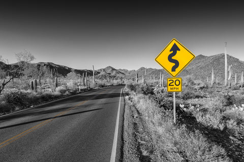 Saguaro National Park Bajada Loop Drive Wall Art