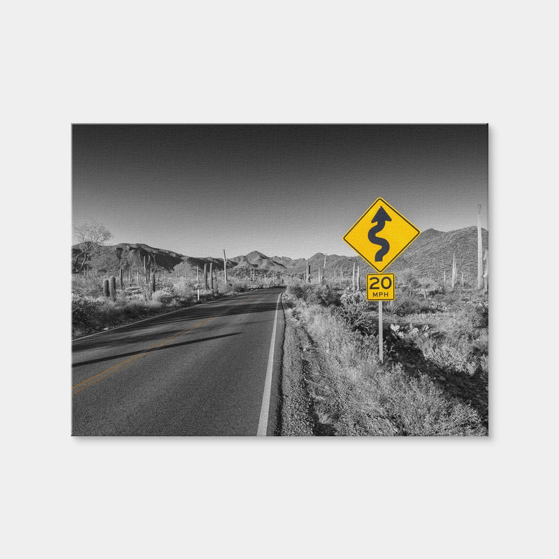 AUTO-MOCKUP WHITE | Saguaro National Park Bajada Loop Drive | 1 Piece | Gallery Wrap | group=4x3