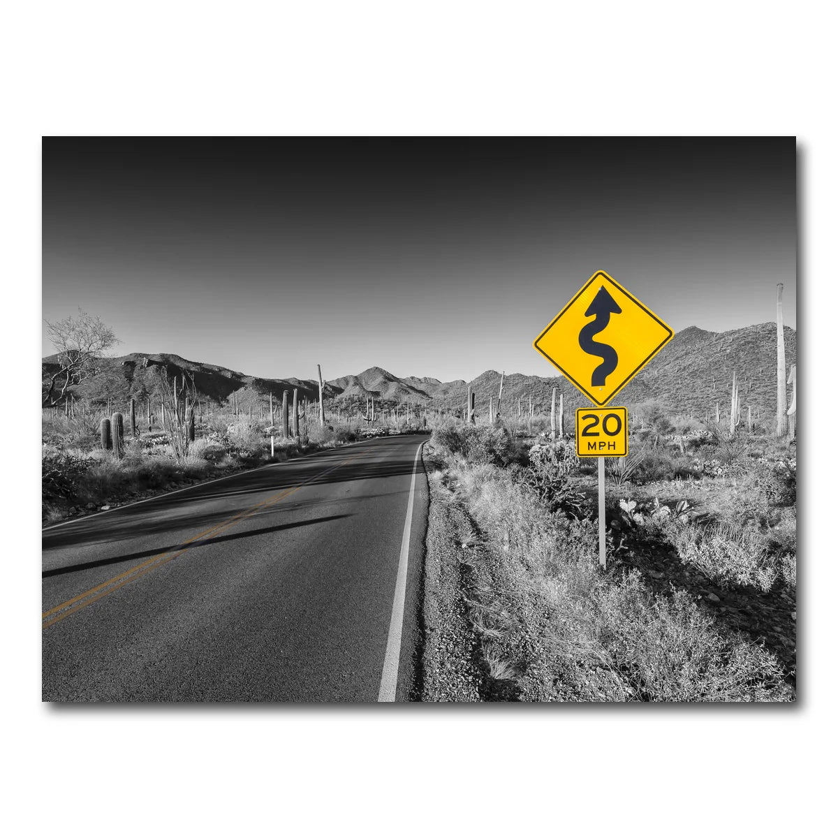 Saguaro National Park Bajada Loop Drive Wall Art