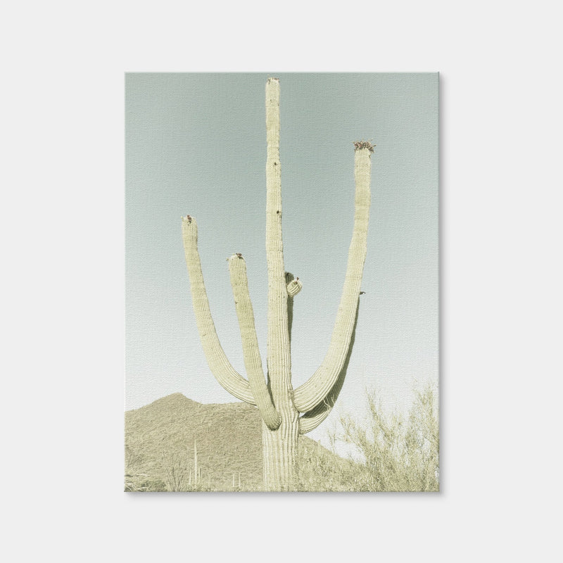AUTO-MOCKUP WHITE | Saguaro National Park Giant Saguaro | 1 Piece | Gallery Wrap | group=3x4