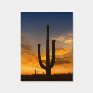 AUTO-MOCKUP WHITE | Saguaro National Park Sunset | 1 Piece | Gallery Wrap | group=3x4
