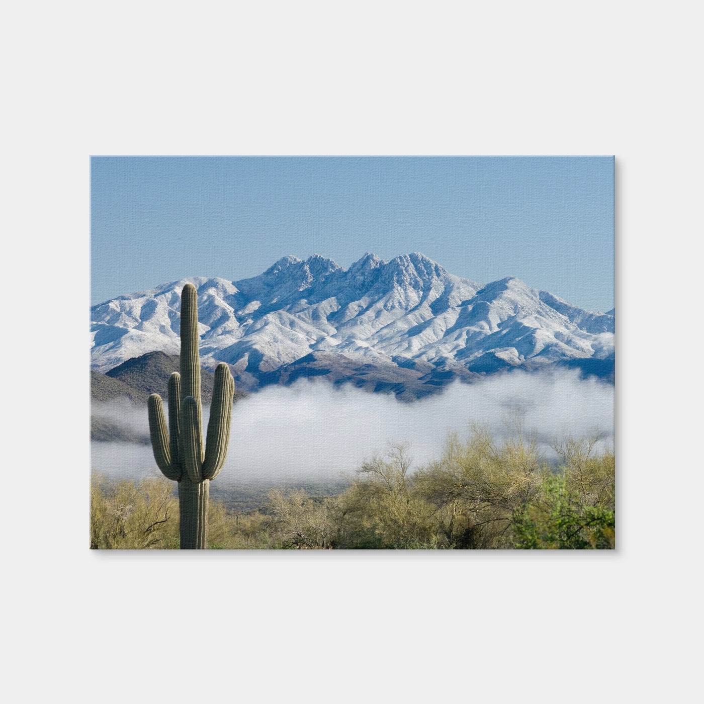 AUTO-MOCKUP WHITE | Saguaro and Four Peaks | 1 Piece | Gallery Wrap | group=4x3