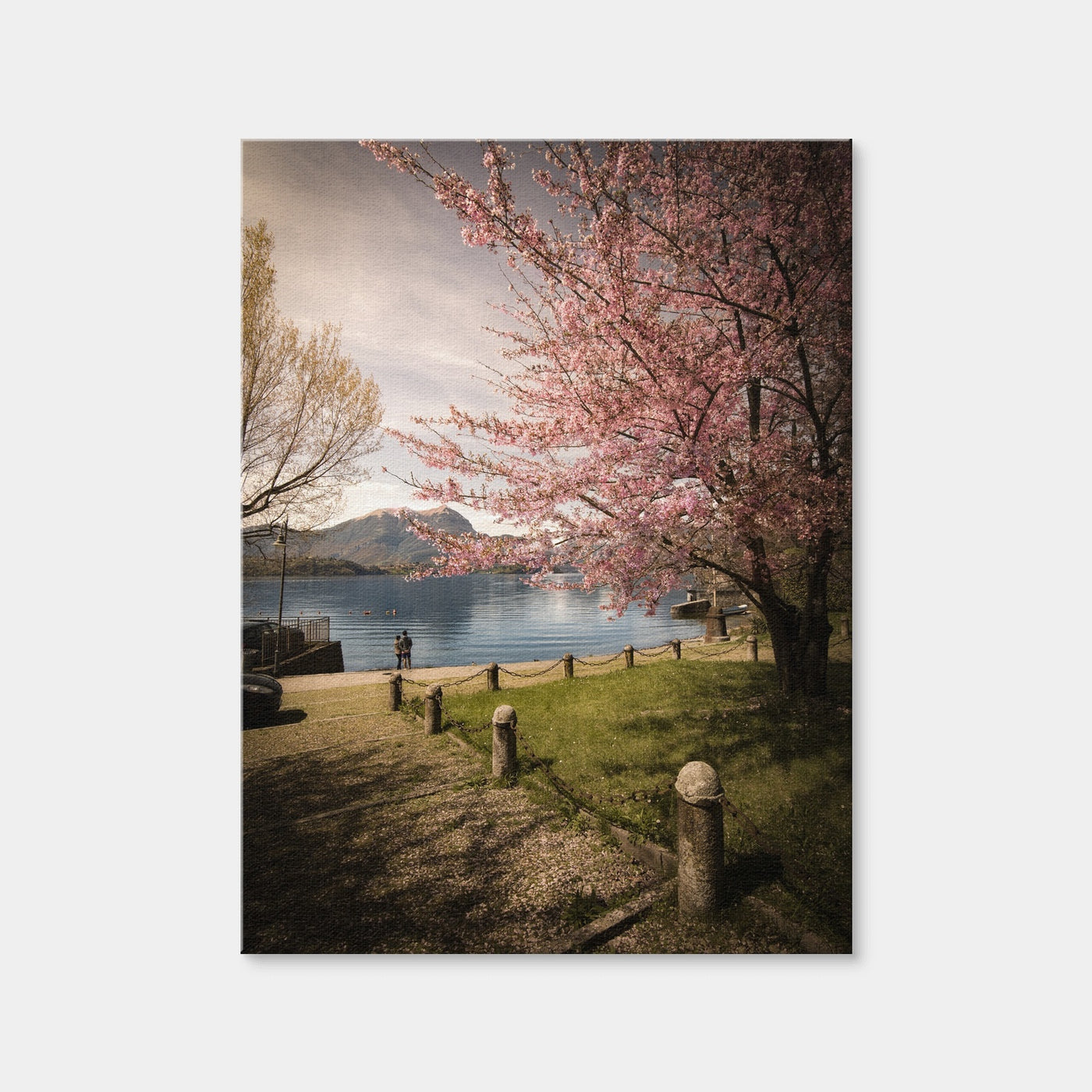 AUTO-MOCKUP WHITE | Sakura on Lake Como | 1 Piece | Gallery Wrap | group=3x4