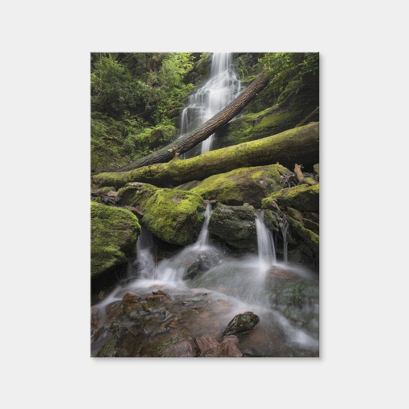 AUTO-MOCKUP WHITE | Salamander's Lair | 1 Piece | Gallery Wrap | group=3x4