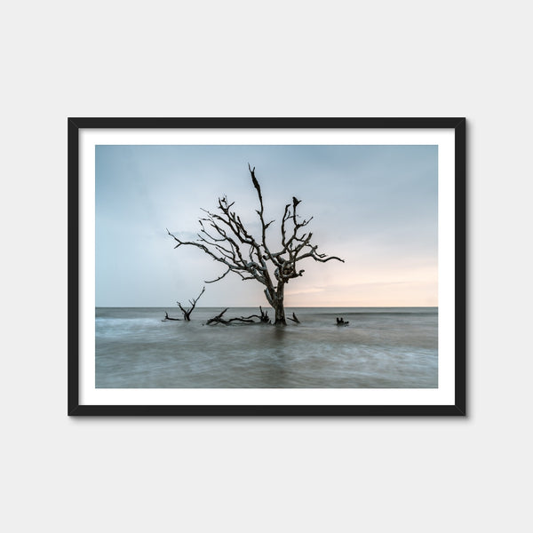 Salt Tree Wall Art — Framed Print Format preview
