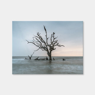 AUTO-MOCKUP WHITE | Salt Tree | 1 Piece | Gallery Wrap | group=4x3