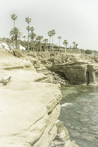San Diego Sunset Cliffs Wall Art