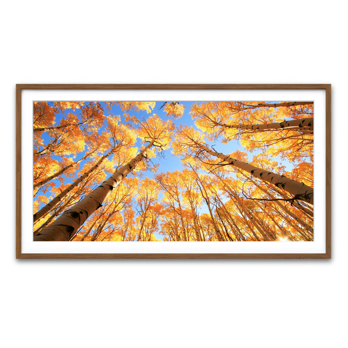 Framed Print 2x1 Walnut