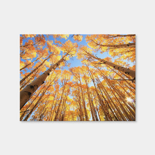 AUTO-MOCKUP WHITE | San Juan Aspens | 1 Piece | Gallery Wrap Canvas | group=4x3